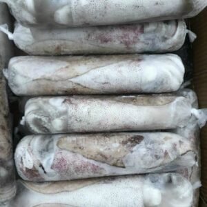 MỰC LÁ 300-500GR/CON